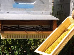 DSCF0316 [640x480].JPG